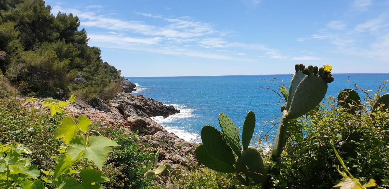 Les Caroubiers Apartman Roquebrune-Cap-Martin Kültér fotó