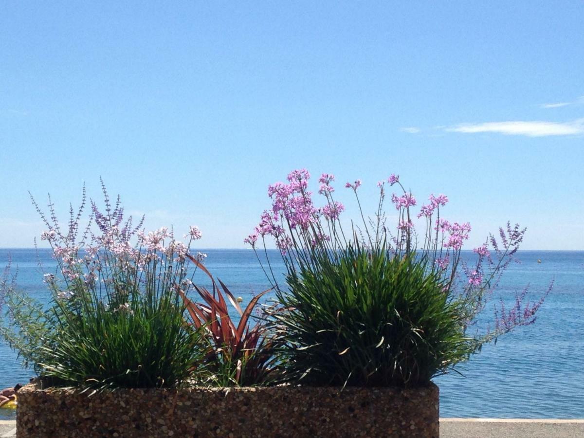 Les Caroubiers Apartman Roquebrune-Cap-Martin Kültér fotó