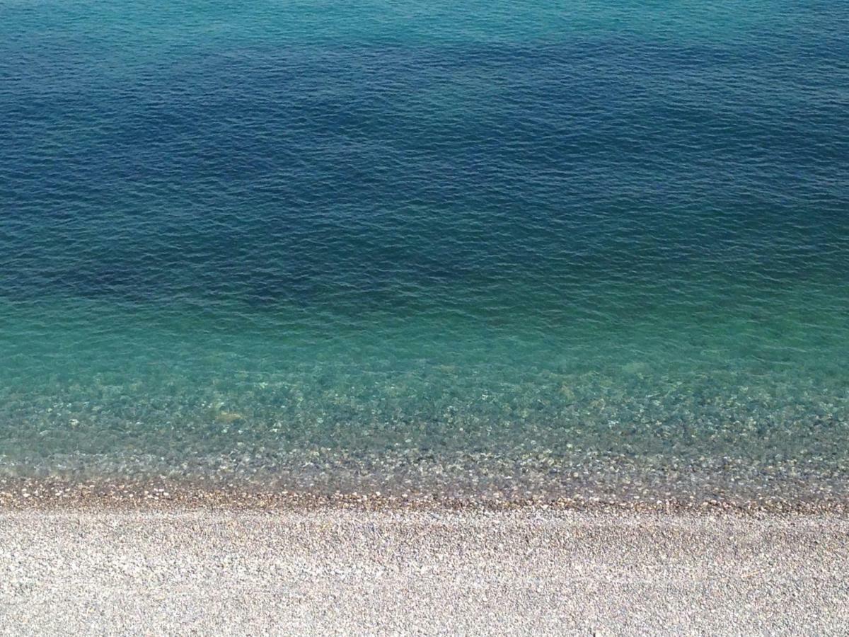 Les Caroubiers Apartman Roquebrune-Cap-Martin Kültér fotó